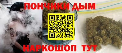 spice Кимры