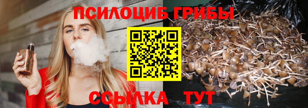 Псилоцибиновые грибы ЛСД Лесозаводск